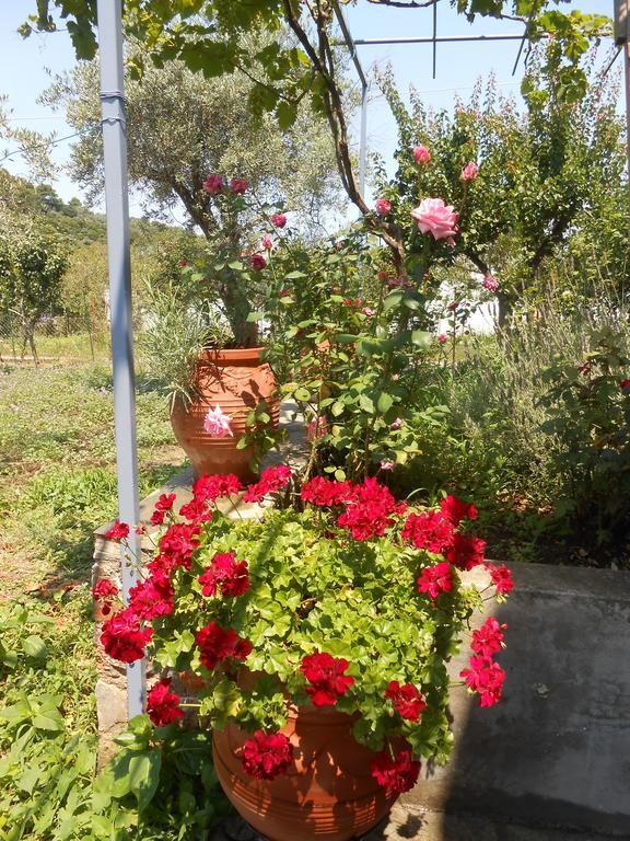 Dafnes Hotel Skopelos Town Bagian luar foto